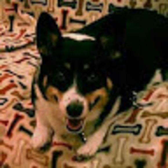 darby_ogill